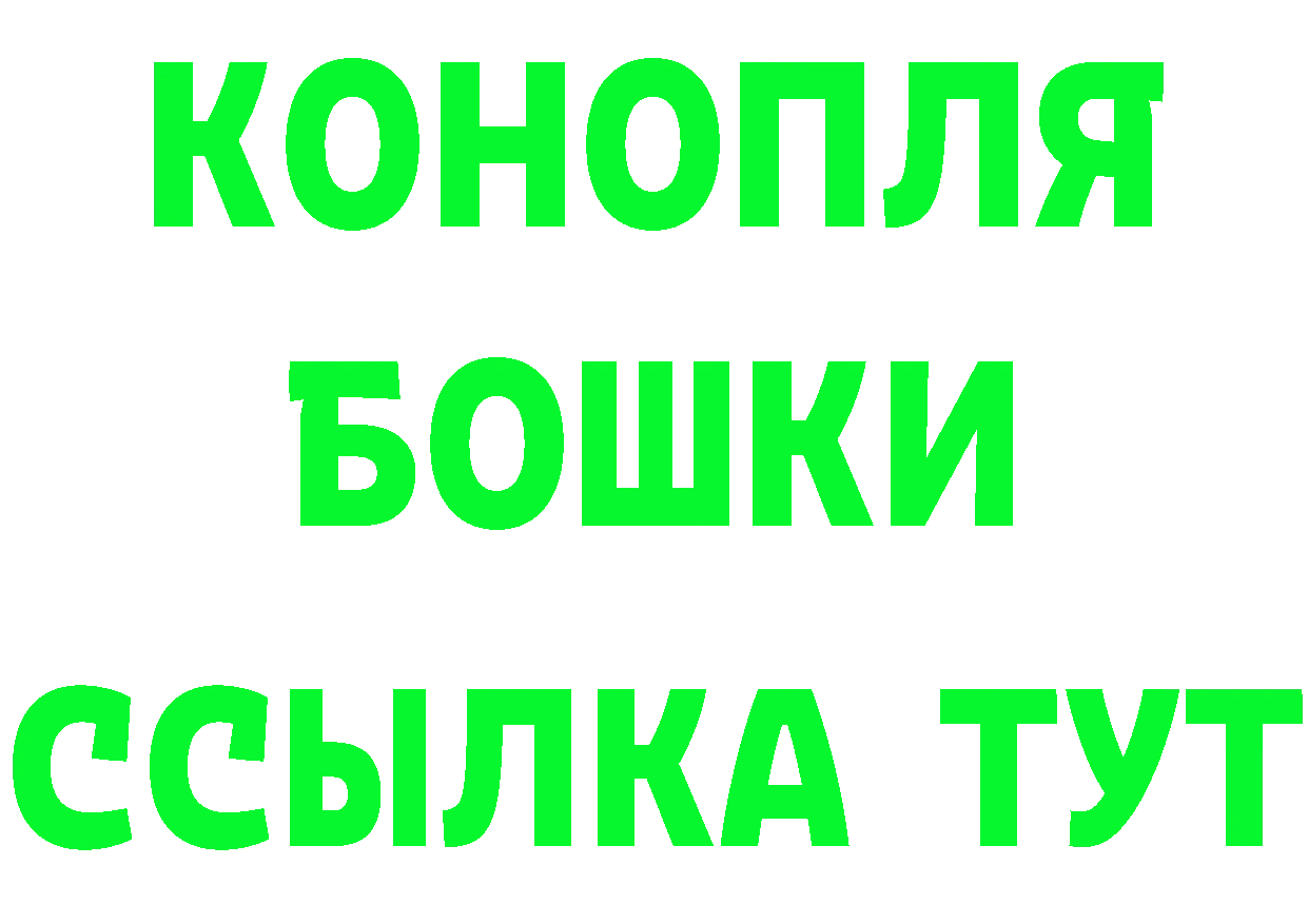 Псилоцибиновые грибы Cubensis как зайти сайты даркнета мега Гаврилов-Ям